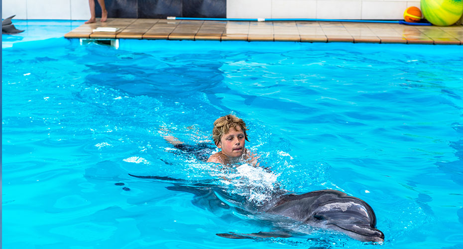 Swim With Dolphins Excursion in Sharm el Sheikh